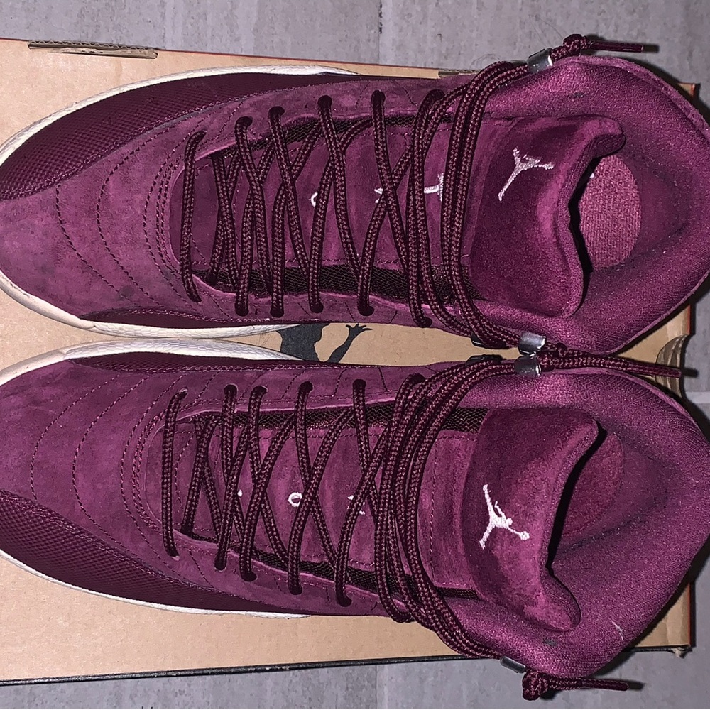 Bourdeaux Jordan 12s